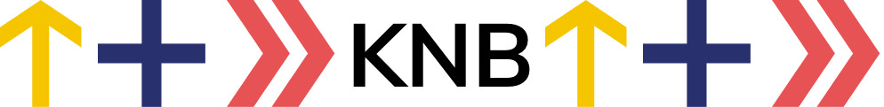 Organisation Logo